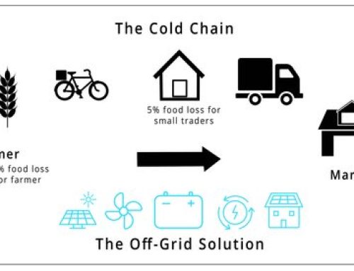 What is the Cold Chain and Why it Matters